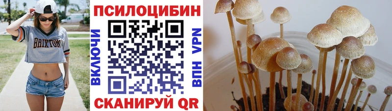 Псилоцибиновые грибы ЛСД Владивосток